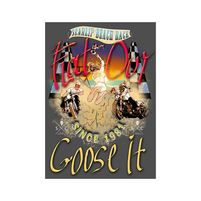 CAMISETA FLAT OUT GOOSE IT