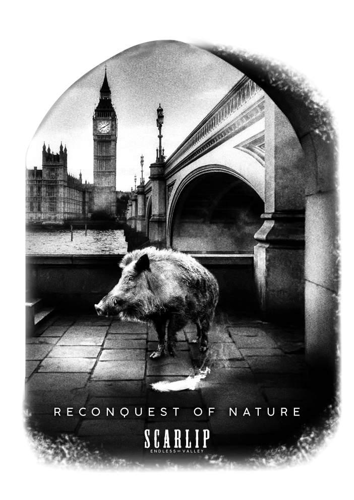 Reconquest WildBoar - Camiseta de manga corta Unisex