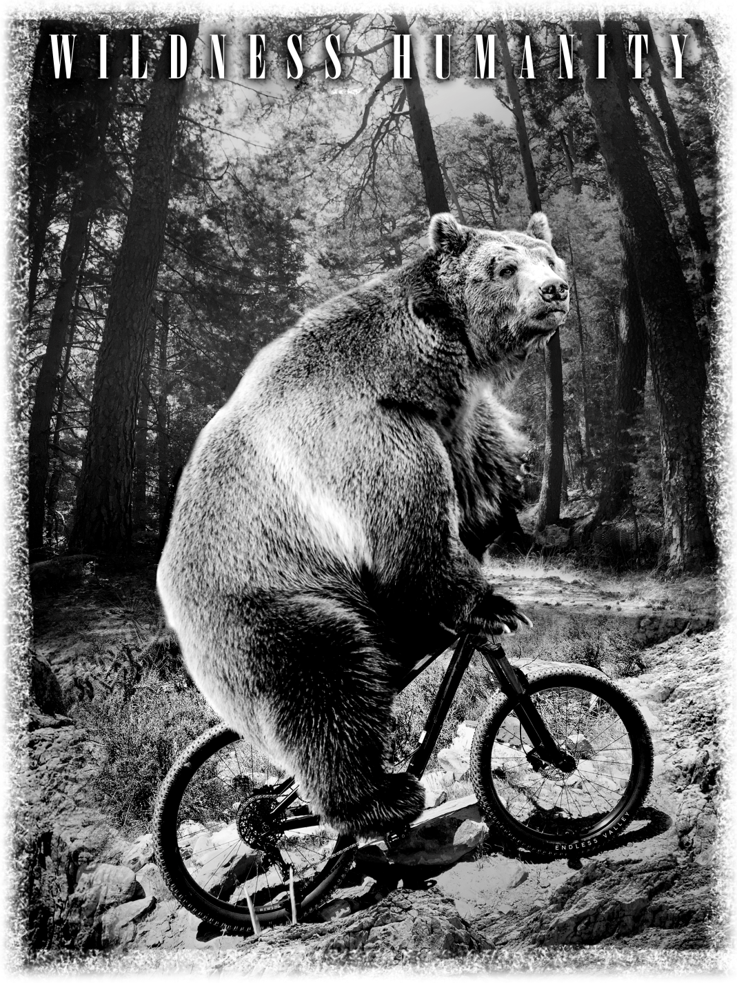 Urban BikeBear - Camiseta de manga corta mujer